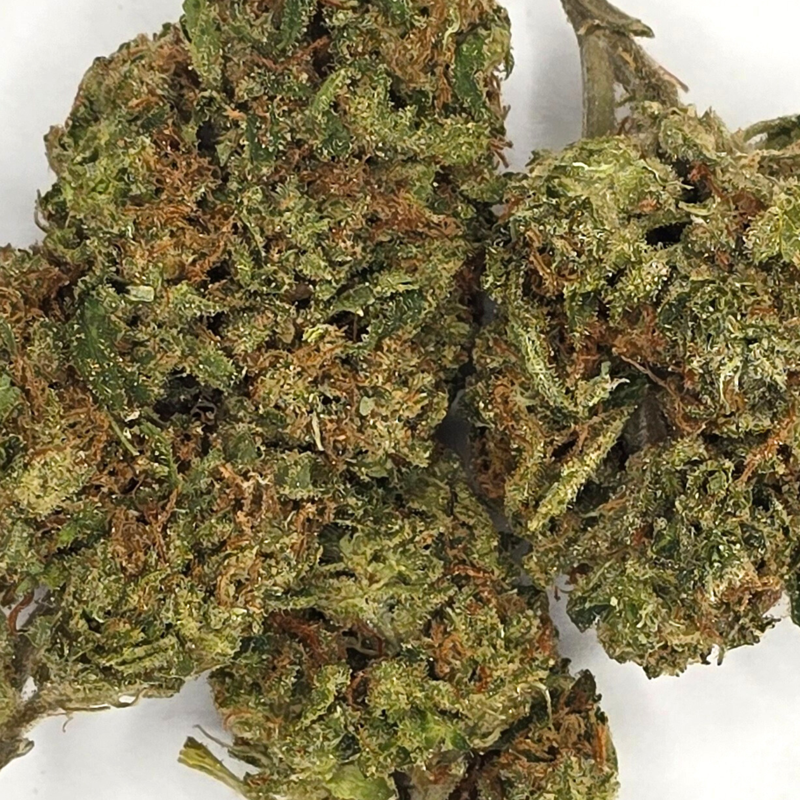 Blue Dream 3.5G THC-A Premium Flower