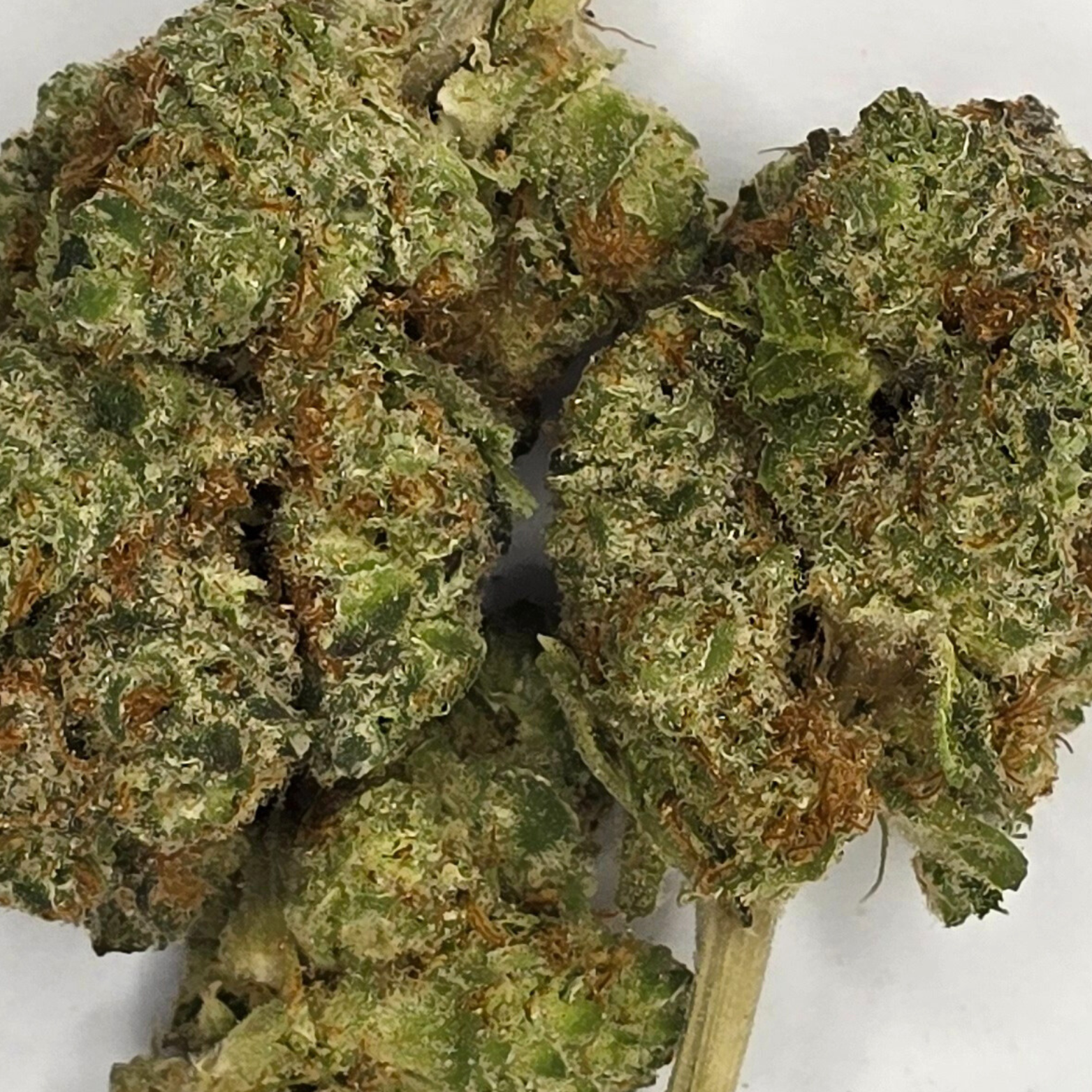 Mendo Breath 14G THC-A Premium Flower