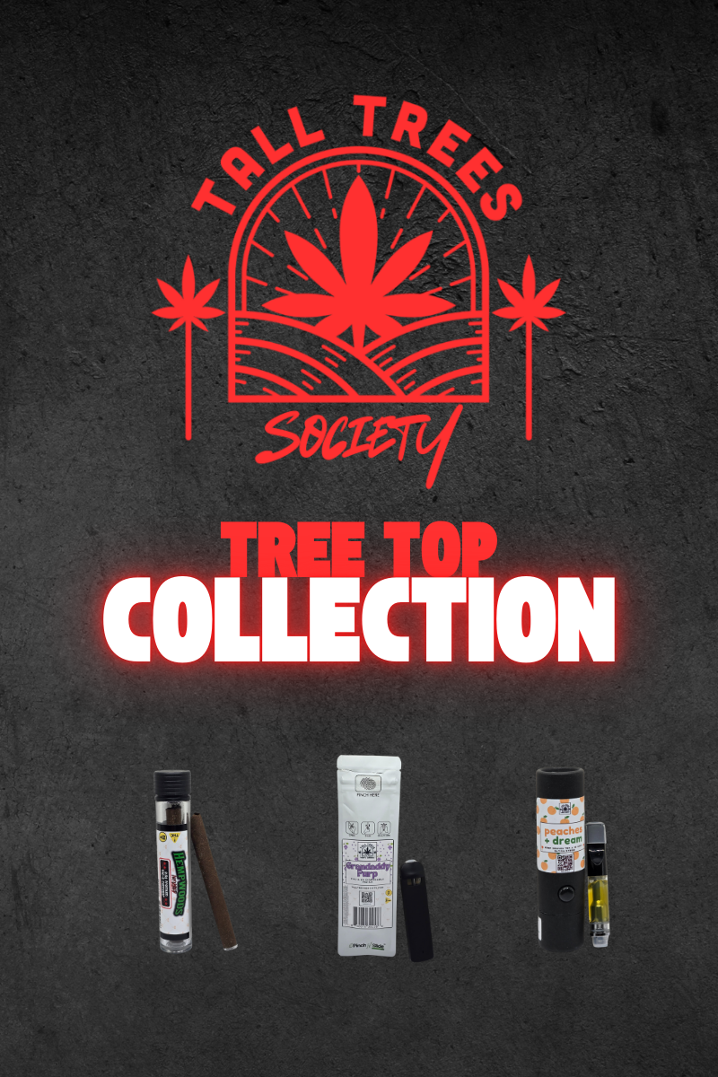 Elevate Your Experience with the Tree Top Collection from Tall Trees Society