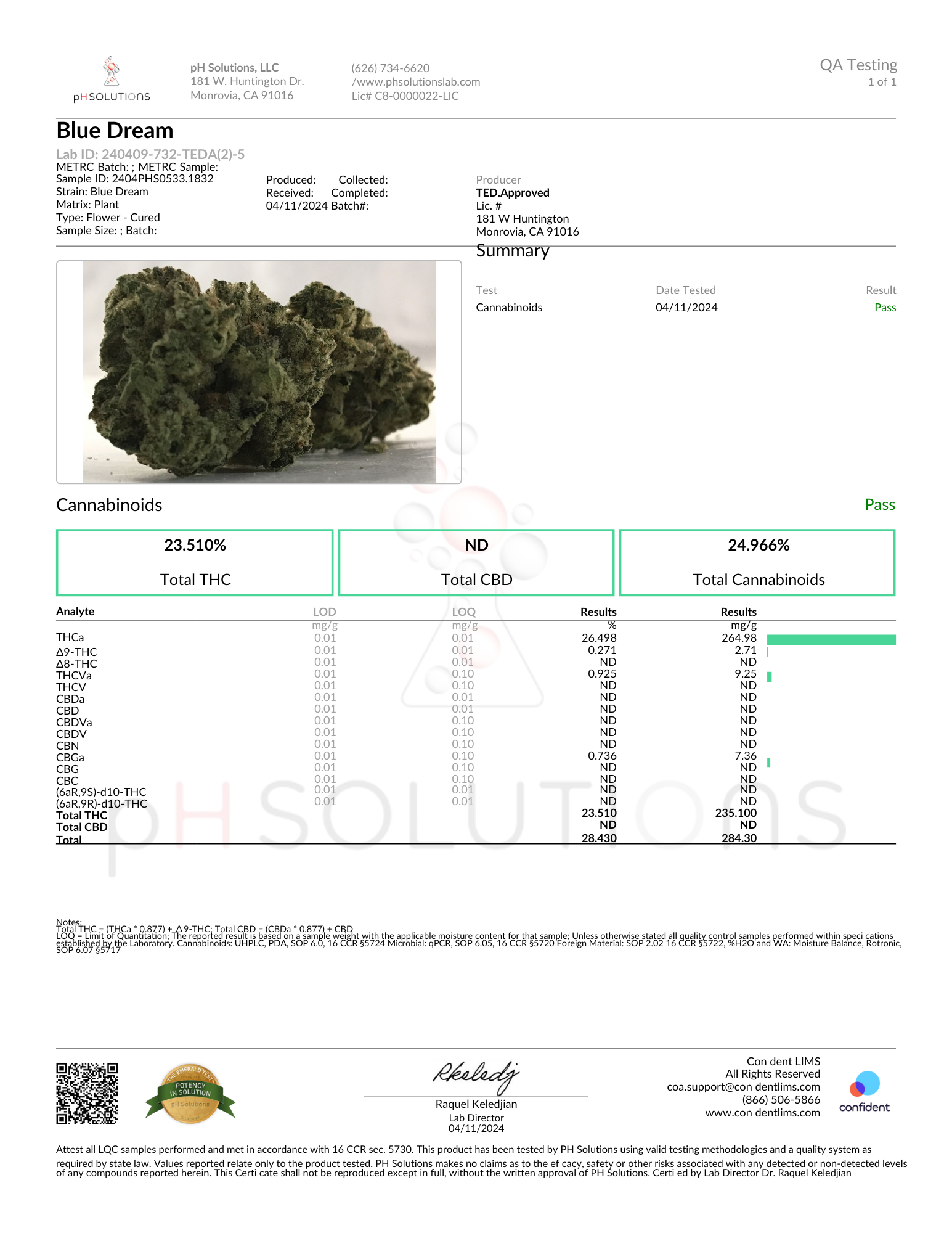 Blue Dream 7G THC-A Premium Flower