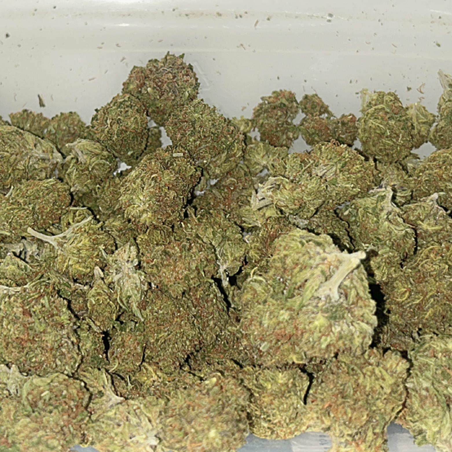 Limited Time Quarter Pound (112G) THC-A Flower: Tiger Cake