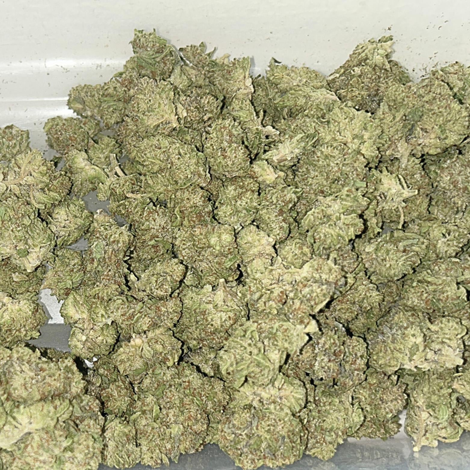 Limited Time Quarter Pound (112G) THC-A Flower: Cookies and Cream